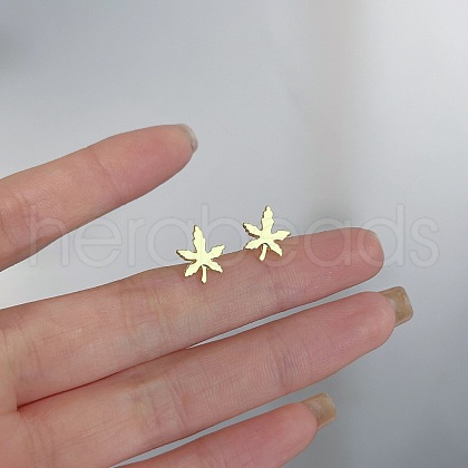 Alloy Earrings for Women FS-WG98937-103-1