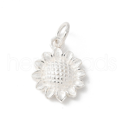 S925 Sterling Silver Charm STER-H115-11C-S-1