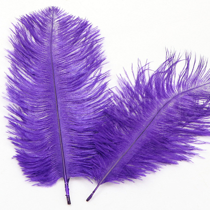 Ostrich Feather Ornament Accessories FEAT-PW0001-002M-1
