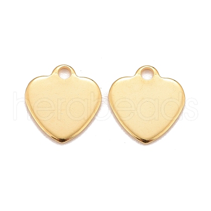 201 Stainless Steel Charms STAS-K217-63G-1