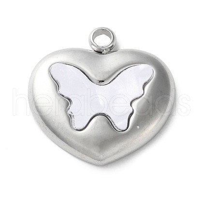 304 Stainless Steel Acrylic Pendants STAS-M091-02B-P-1