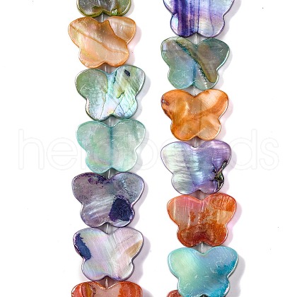 Natural Freshwater Shell Beads Strands BSHE-S304-01-1