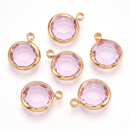 K9 Glass Charms X1-GLAA-T023-37A-03-1