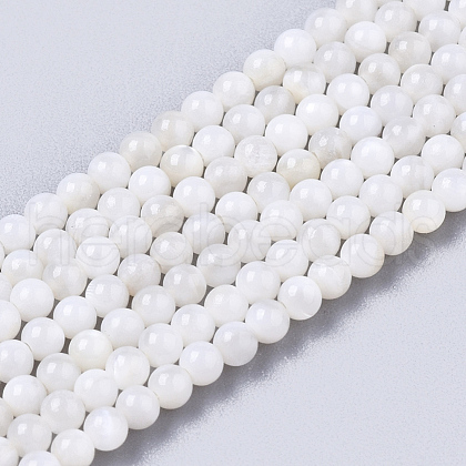 Natural Freshwater Shell Beads Strands BSHE-T009-01F-1