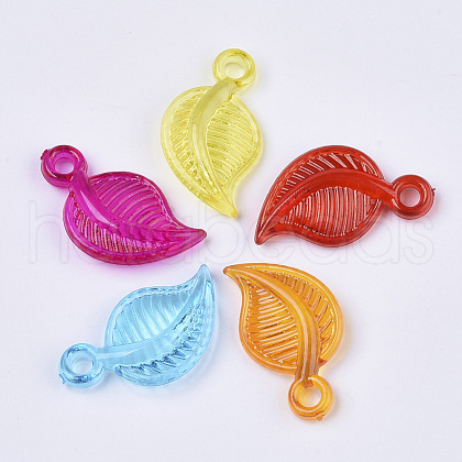 Transparent Acrylic Pendants TACR-T015-063-1