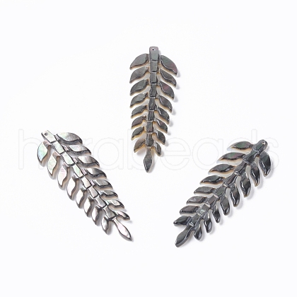 Natural Shell Pendants SSHEL-L016-003B-1