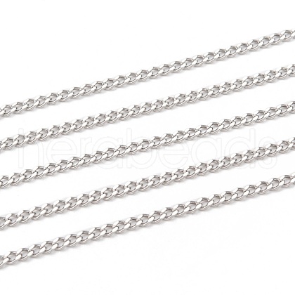 Non-Tarnish 3.28 Feet 304 Stainless Steel Curb Chains X-CHS-P003-05P-1