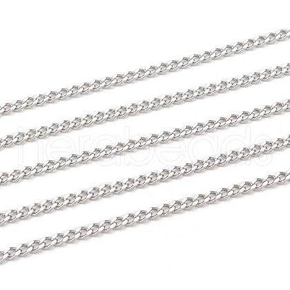 3.28 Feet 304 Stainless Steel Curb Chains X-CHS-P003-05P-1