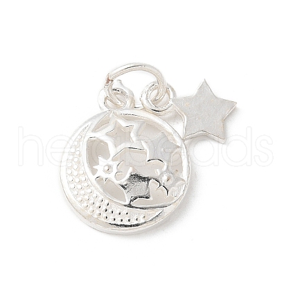 S925 Sterling Silver Pendant STER-H115-03D-S-1