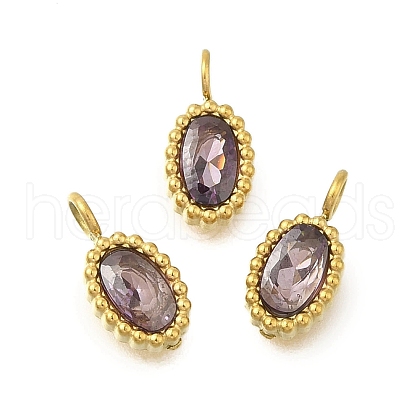 304 Stainless Steel Micro Pave Cubic Zirconia Charms STAS-U027-02G-06-1