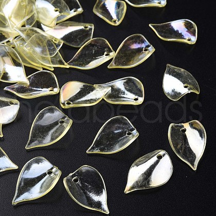 Transparent Acrylic Beads MACR-S373-103-C01-1