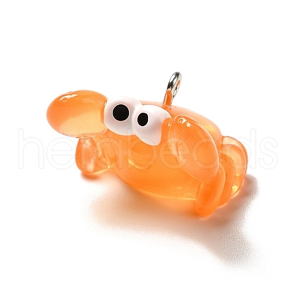 Marine Series Transparent Resin Pendants RESI-E031-02P-08-1