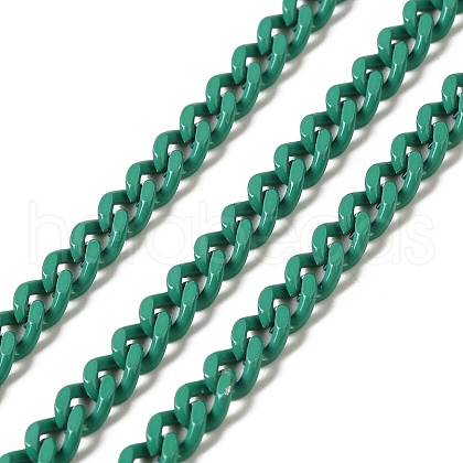 Spray Painted 304 Stainless Steel Curb Chains STAS-B067-05B-10-1