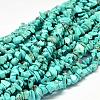 Dyed Natural Magnesite Chips Beads Strands G-L454-06-1