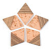 Transparent Resin & Walnut Wood Pendants RESI-S389-012A-B-2
