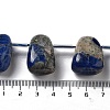 Natural Sodalite Beads Strands G-P528-E12-01-4