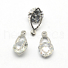 Horse Eye Alloy Charms ZIRC-R007-040A-02-2