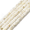 Natural Freshwater Shell Beads Strands BSHE-E026-15A-01-2