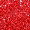 Baking Paint Glass Seed Beads SEED-H002-I-A513-3