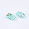 2-Hole Transparent Glass Seed Beads SEED-S023-30B-21-2