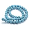 Synthetic Turquoise Beads Strands G-P387-01-10mm-2