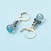 Glass Seed Beads Leverback Earrings EJEW-MZ00398-6