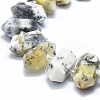 Natural White African Opal Beads Strands G-F715-037-3