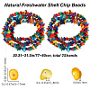 Beebeecraft 2 Strands Natural Freshwater Shell Dyed Beads Strands G-BBC0001-43A-2
