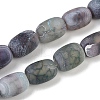 Natural Weathered Agate Beads Strands G-NH0047-B03-02-2