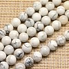 Natural Howlite Beads Strands G-I107-10mm-1