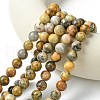 Natural Crazy Lace Agate Round Bead Strands G-M272-03-10mm-2