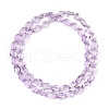 Transparent Glass Beads Strands GLAA-H038-03D-2