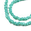 Opaque Solid Color Glass Beads Strands GLAA-N052-01-A09-3