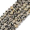 Natural Dalmatian Jasper Beads Strands G-B138-C08-01-1