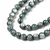 Natural Freshwater Shell Beads Strands SHEL-N003-24-B01-3