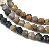 Natural Bumblebee Jasper Beads Strands G-L597-C03-02-3