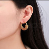 201 Stainless Steel Hoop Earrings FS-WG3CD11-03-1