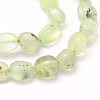 Natural Prehnite Beads Strands G-K230-20-3