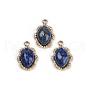 Natural Lapis Lazuli Oval Charms STAS-I325-144G-02-1