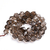 Natural Smoky Quartz Beads Strands G-S267-12-2