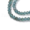 Natural Apatite Beads Strands G-F748-J01-02A-4