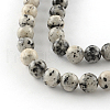 Dyed Natural Sesame Jasper Round Beads Strands G-R342-8mm-15-2