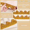 Polyester Braided Lace Ribbon SENE-WH0003-35C-4