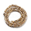 Natural Freshwater Shell Beads Strands X-BSHE-G038-05-3