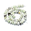 Natural American Turquoise(Jasper) Beads Strands G-F715-066-2