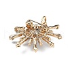 Alloy Rhinestone Brooch for Backpack Clothes JEWB-P046-05A-G-2