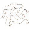 304 Stainless Steel Earring Hooks STAS-S111-005RG-NR-3