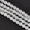 Olycraft 1 Strand Natural White Moonstone Beads Strands G-OC0005-38-1