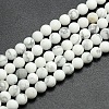 Frosted Howlite Round Bead Strands G-M064-14mm-12-1