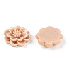 Resin Cabochon CRES-B3259-A80-2